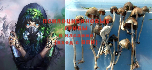 прущая мука Алексин