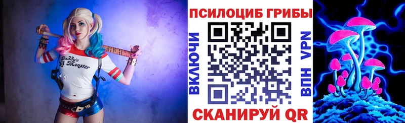 МЕГА как зайти  это наркотические препараты  Псилоцибиновые грибы прущие грибы  Дмитров 