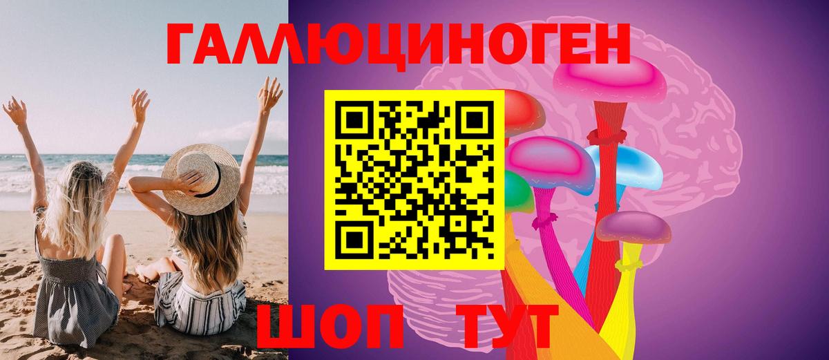 Галлюциногенные грибы Psilocybe Дмитров