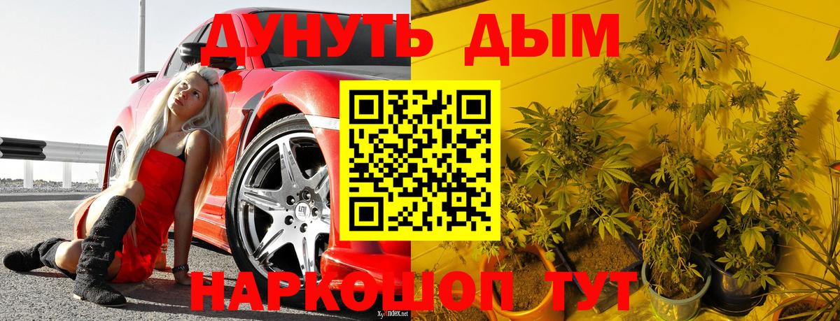 Марихуана ГИДРОПОН  Каннабис марихуана  Дмитров  Марихуана AK-47  Вход с VPN 
